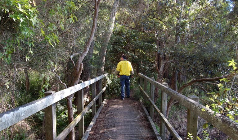 Awaba Foreshore walk, Lake Macquarie State Conservation Area. Photo: Susan Davis/NSW Government