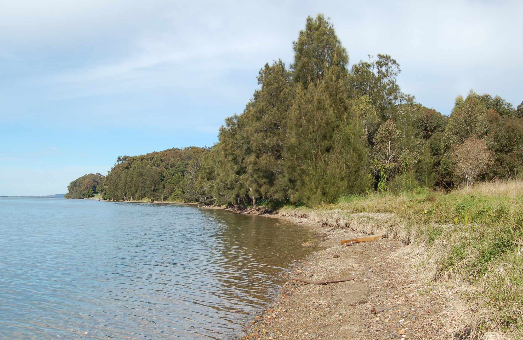 Alexanders picnic area, Lake Macquarie State Conservation Area. Photo: Susan Davis/NSW Government