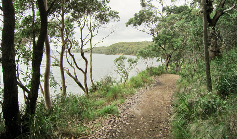 Marmong picnic area, Lake Macquarie State Conservation Area. Photo: Ashley Deveridge