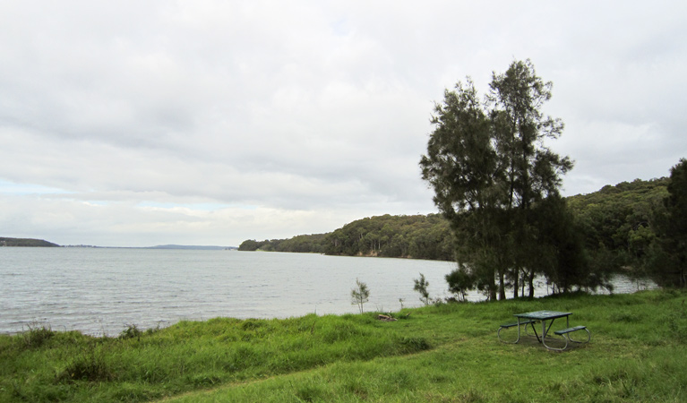 Marmong picnic area, Lake Macquarie State Conservation Area. Photo: Ashley Deveridge