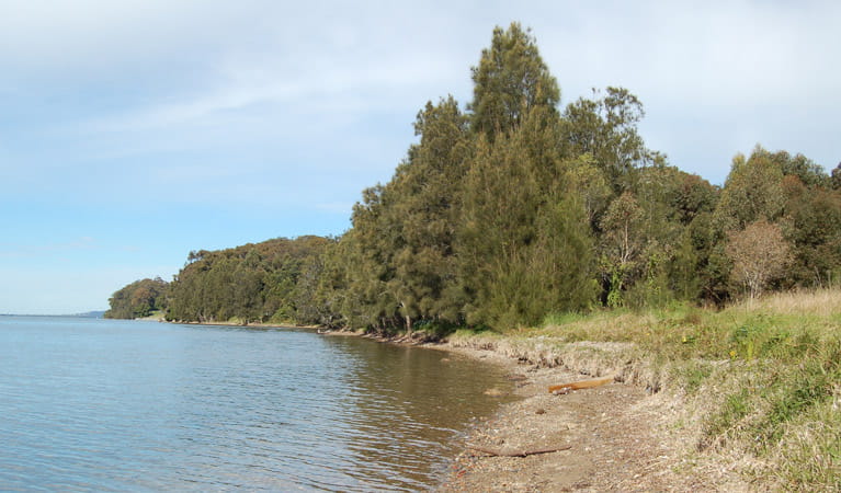 Alexanders picnic area, Lake Macquarie State Conservation Area. Photo: Susan Davis/NSW Government