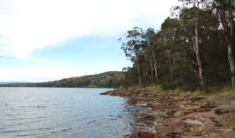 Wangi circuit walking track, Lake Macquarie State Conservation Area. Photo: Susan Davis &copy; OEH