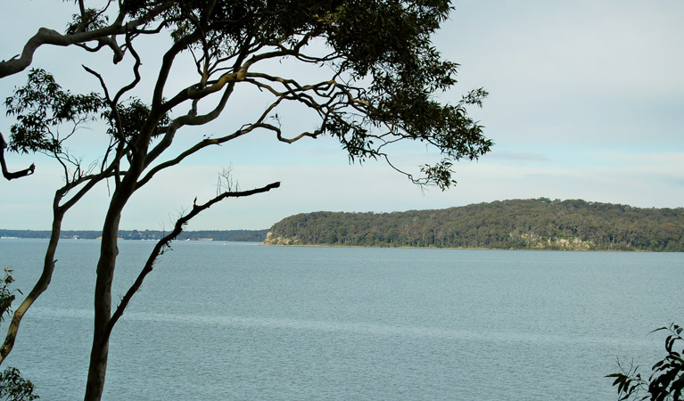 Wangi circuit walking track, Lake Macquarie State Conservation Area. Photo: Susan Davis &copy; OEH