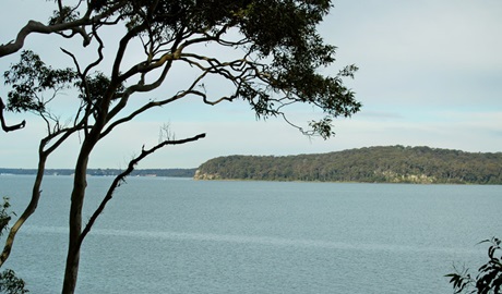 Wangi circuit walking track, Lake Macquarie State Conservation Area. Photo: Susan Davis &copy; OEH