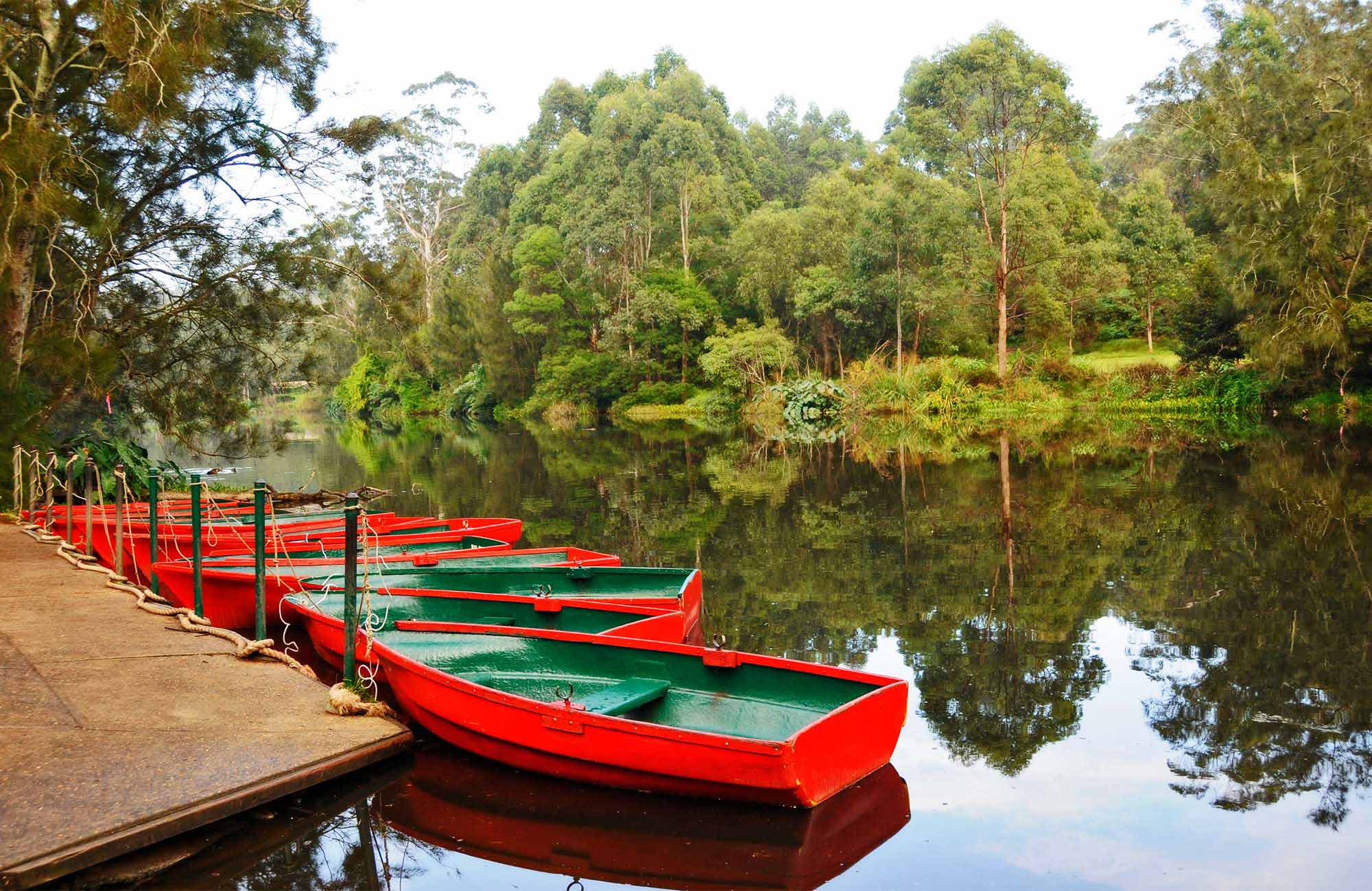 Red row boats moored at the boatshed, Lane Cove National Park. Photo: Kevin McGrath