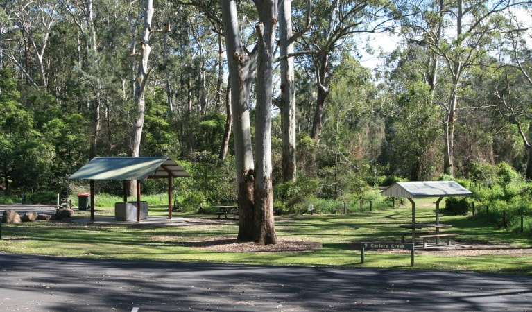 A picnic and barbecue shelter surrounded by trees with carpark in the foreground at Carter Creek picnic area, Lane Cove National Park. Photo: Nathan Askey-Doran &copy; DPIE