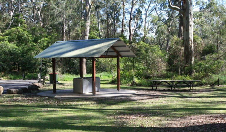 A barbecue shelter with picnic tables nearby at Carter Creek picnic area in Lane Cove National Park. Photo: Nathan Askey-Doran &copy; DPIE
