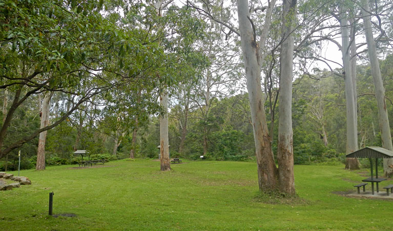 Carter Creek picnic area, Lane Cove National Park. Photo: Debby McGerty &copy; OEH