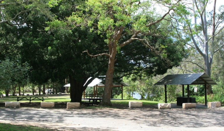 Picnic shelters under trees with the river in the background at Casuarina Point picnic area, Lane Cove National Park. Photo: Nathan Askey-Doran &copy; DPIE