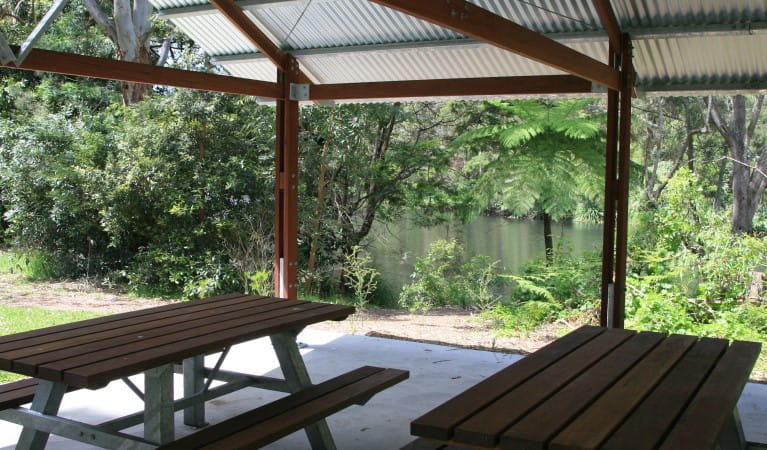 Picnic tables under a shelter at Casuarina Point picnic area in Lane Cove National Park. Photo: Nathan Askey-Doran &copy; DPIE