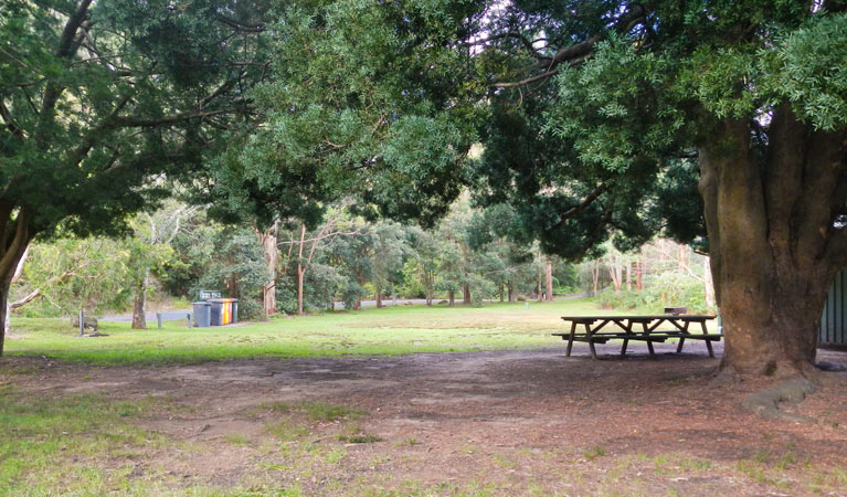 Casuarina Point picnic area, Lane Cove National Park. Photo: Debbie McGerty &copy; OEH