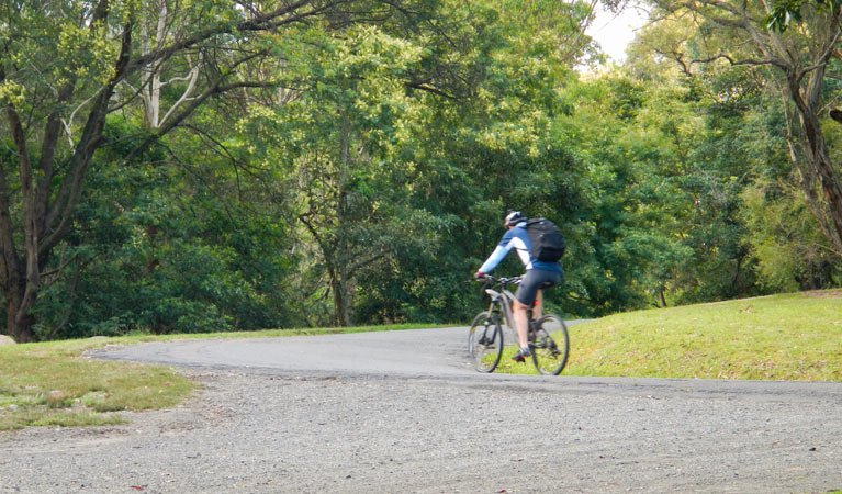 Casuarina Point picnic area, Lane Cove National Park. Photo &copy; Debbie McGerty