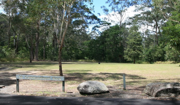 A grassy area surrounded by trees at Commandment Rock picnic area in Lane Cove National Park. Photo: Nathan Askey-Doran &copy; DPIE