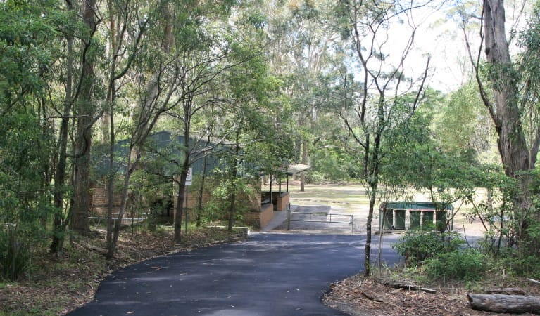 The road to Commandment Rock picnic area in Lane Cove National Park. Photo: Nathan Askey-Doran &copy; DPIE