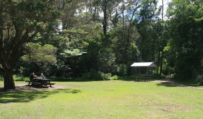 Spacious, grassy Cottonwood Glen picnic area surrounded by trees with a picnic shelter and picnic table in the background, in Lane Cove National Park. Photo: Nathan Askey-Doran &copy; DPIE