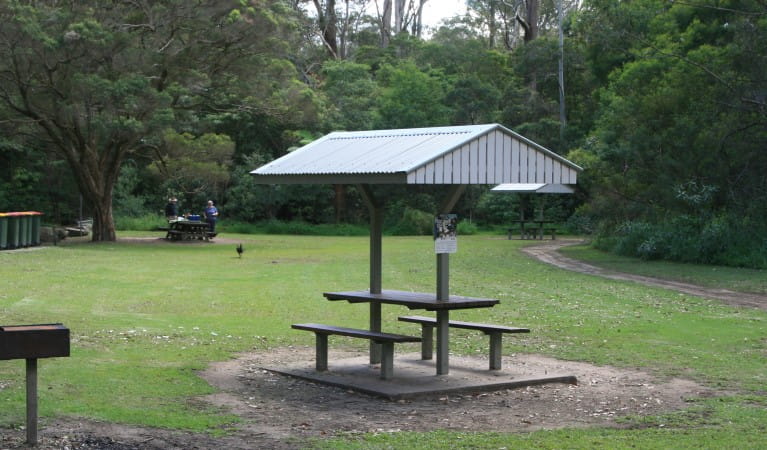 A picnic shelter at Cottonwood Glen picnic area in Lane Cove National Park. Photo: Nathan Askey-Doran &copy; DPIE