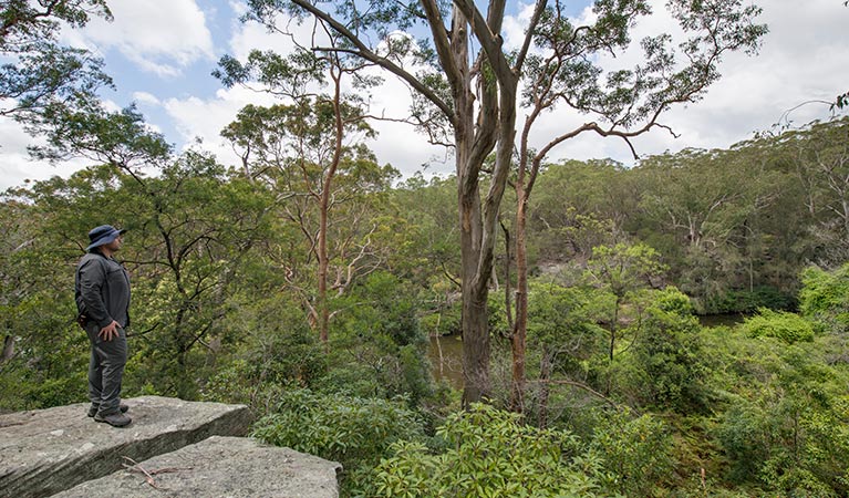 Great North Walk, Lane Cove National Park. Photo: John Spencer