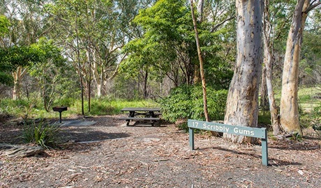 Halfway Point picnic area, Lane Cove National Park. Photo: John Spencer