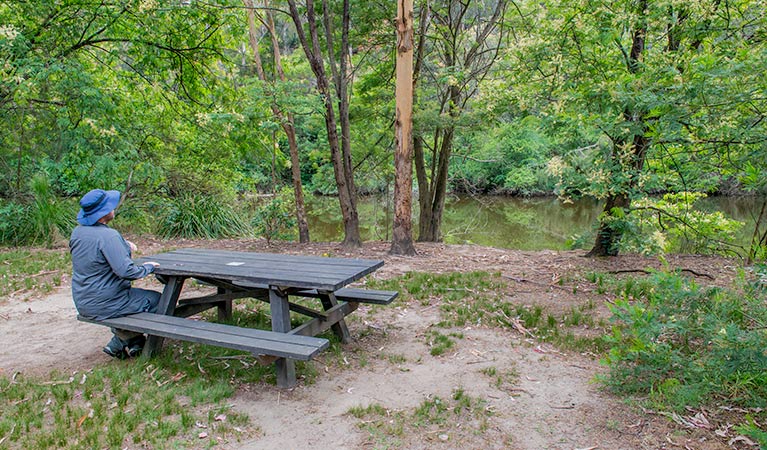 Halfway Point picnic area, Lane Cove National Park. Photo: John Spencer