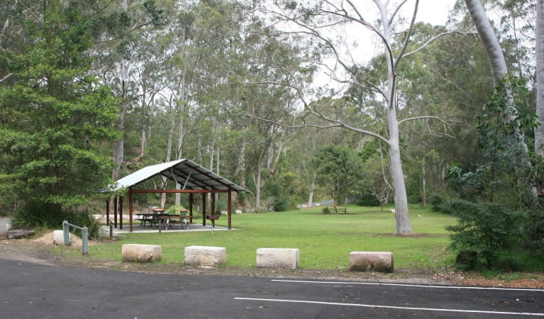 Grassy Haynes Flat picnic area with a picnic shelter in the distance, in Lane Cove National Park. Photo: Nathan Askey-Doran &copy; DPIE