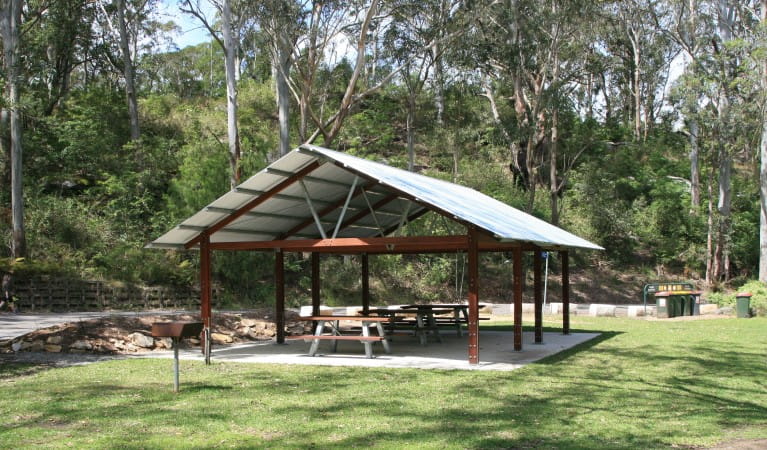 A large picnic shelter surrounded by trees at Haynes Flat picnic area in Lane Cove National Park. Photo: Nathan Askey-Doran &copy; DPIE