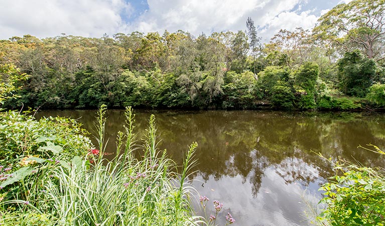 Illoura picnic area, Lane Cove National Park. Photo: John Spencer
