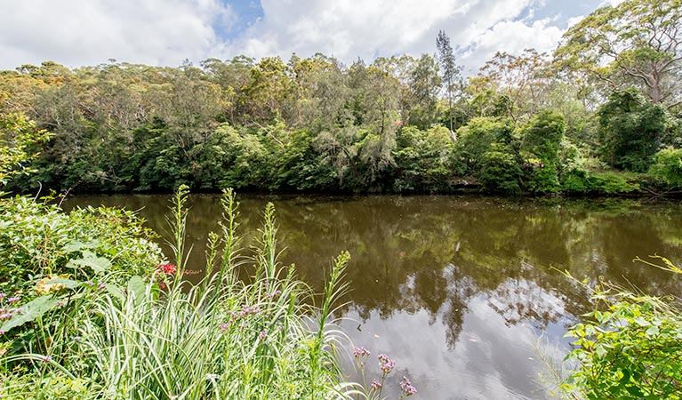 Illoura picnic area, Lane Cove National Park. Photo: John Spencer