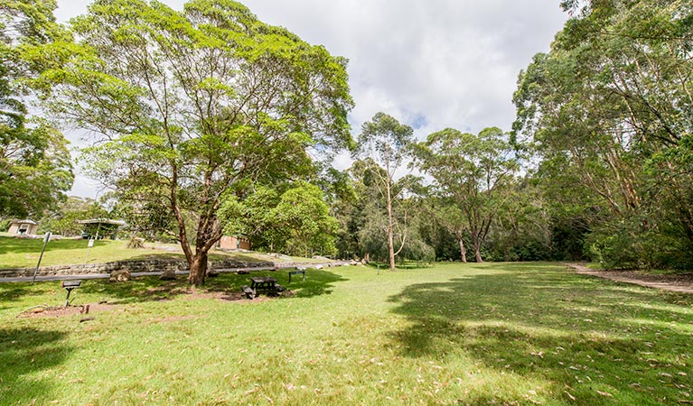 Illoura picnic area, Lane Cove National Park. Photo: John Spencer