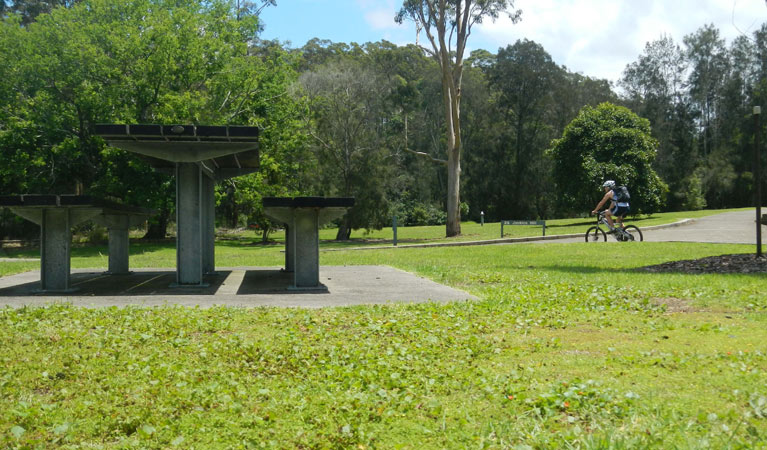 Jenkins Hill picnic area, Lane Cove National Park. Photo: Debby McGerty