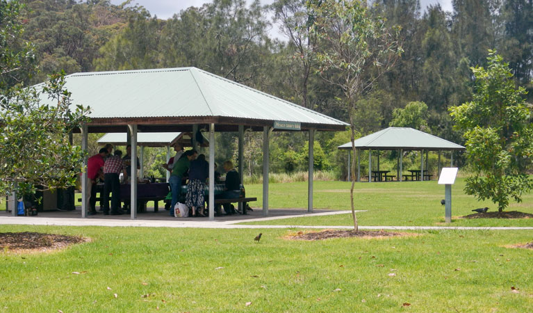 Koonjeree picnic area, Lane Cove National Park. Photo: OEH