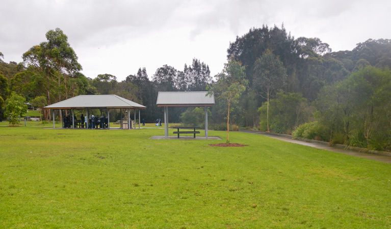 Koonjeree picnic area, Lane Cove National Park. Photo: OEH