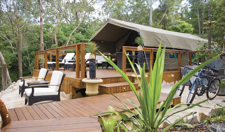 Daytime view of the glamping accommodation at Lane Cove Holiday Park. Photo: OEH