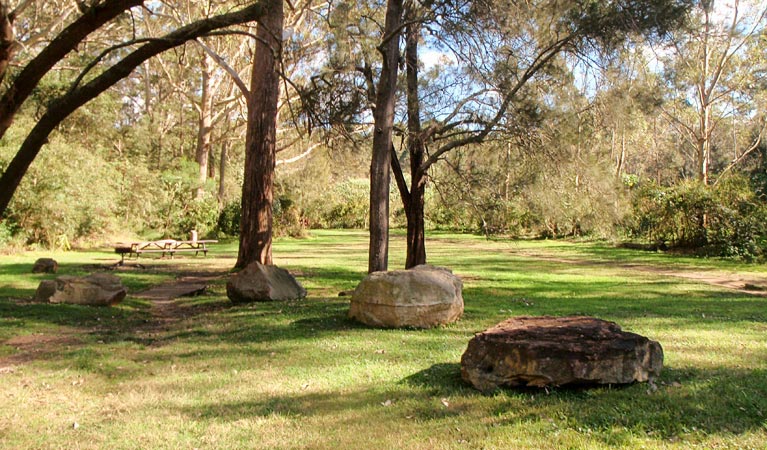 Moola picnic area, Lane Cove National Park. Photo: Natalie Jenkins