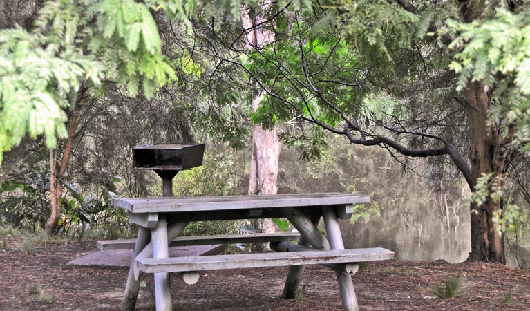 Moola picnic area, Lane Cove National Park. Photo: Kevin McGrath &copy; OEH