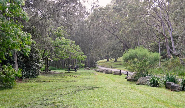 Moola picnic area, Lane Cove National Park. Photo: Kevin McGrath &copy; OEH