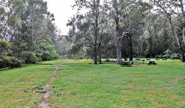 Moola picnic area, Lane Cove National Park. Photo: Kevin McGrath &copy; OEH