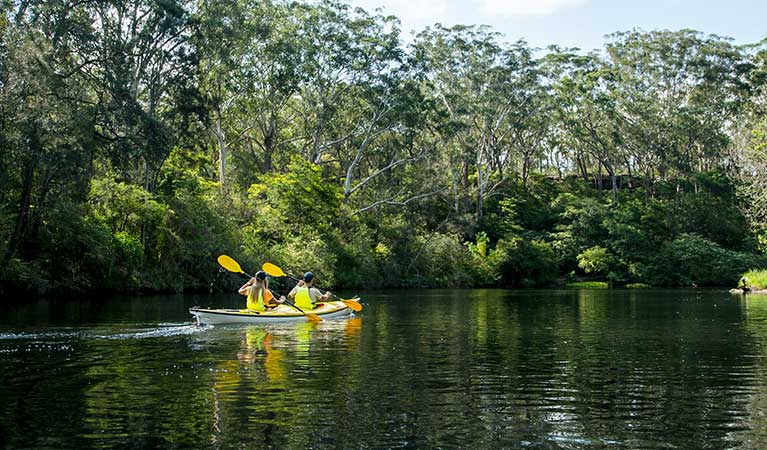 People kayaking on Lane Cove River, Lane Cove National Park. Photo: OEH/Caravel Content