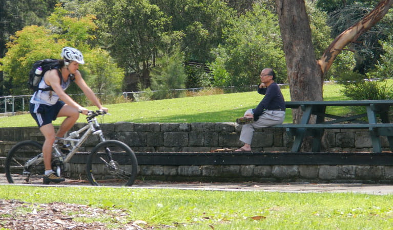 Cycle from Pennant Hills park to West Pymble, Lane Cove National Park. Photo: Debby McGerty. 