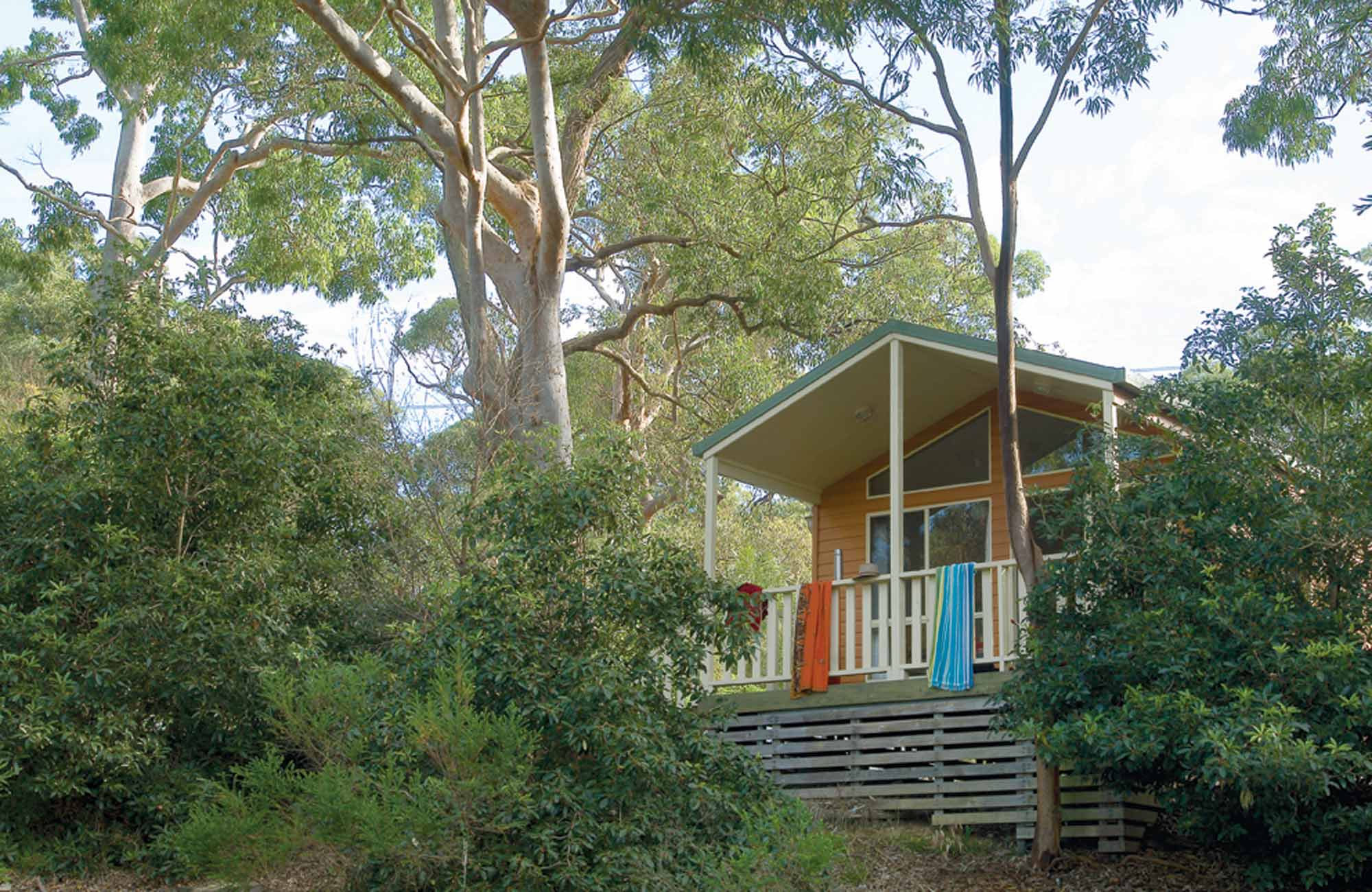 A cabin surrounded by bushland at Lane Cove Holiday Park – cabins, in Lane Cove National Park. Photo: Michael van Ewijk/NSW Government