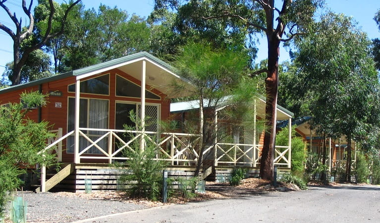 A row of cabins at Lane Cove Holiday Park – cabins, in Lane Cove National Park. Photo: Ian Brown