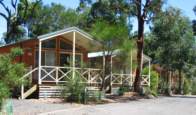 A row of cabins at Lane Cove Holiday Park – cabins, in Lane Cove National Park. Photo: Ian Brown