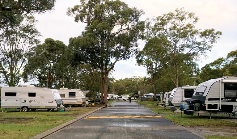 Caravans parked on either side of the road at Lane Cove caravan park. Photo: Claire Franklin/OEH