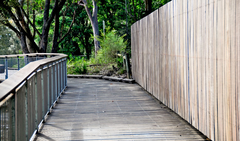 Riverside walking track, Lane Cove National Park. Photo: Kevin McGrath &copy; OEH