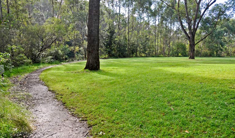 Riverside walking track, Lane Cove National Park. Photo: Kevin McGrath &copy; OEH