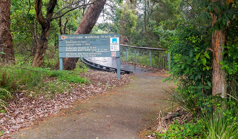 Riverside walking track, Lane Cove National Park. Photo: Debbie McGerty