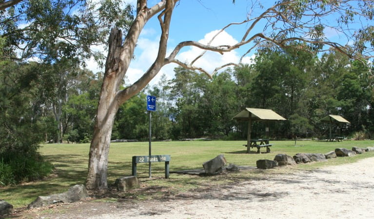 Picnic shelters and trees at Tunks Hill picnic area in Lane Cove National Park. Photo: Nathan Askey-Doran &copy; DPIE
