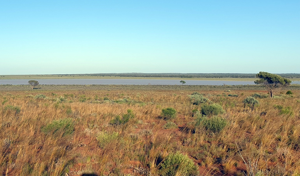 Lake Eckerboon, Eckerboon Lake campground and picnic area, Langidoon-Metford State Conservation Area, 40mins drive from Broken Hill. Photo: V Butler, &copy; V Butler