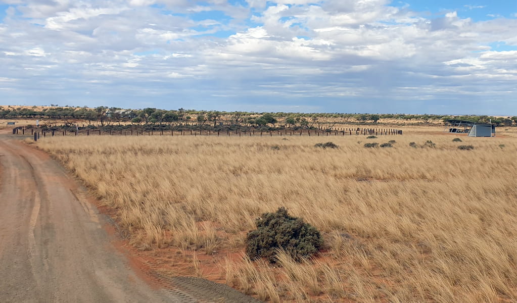 View over outback of Eckerboon Lake campground and picnic area, Langidoon-Metford State Conservation Area, 40mins drive from Broken Hill. Photo: V Butler, &copy; V Butler