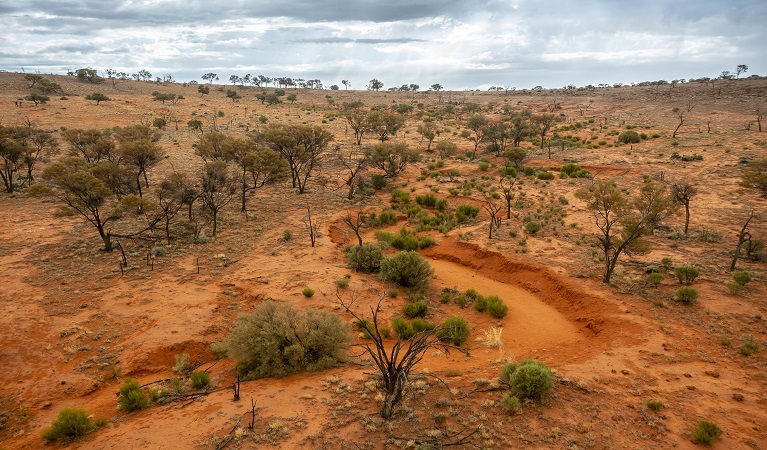 Creek line in Langidoon Metford State Conservation Area. Photo: John Spencer © DPE