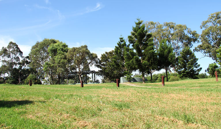 Grassy area in Leacock Regional Park. Photo: John Spencer &copy; DPIE